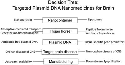 Brain Delivery of Nanomedicines: Trojan Horse Liposomes for Plasmid DNA Gene Therapy of the Brain